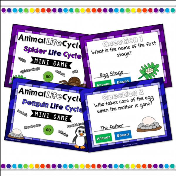 Animal Life Cycle Bundle - Image 2