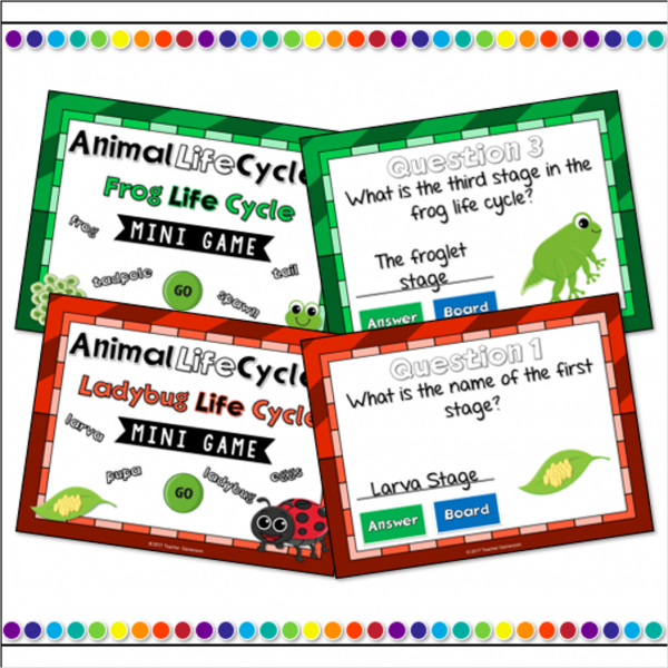 Animal Life Cycle Bundle - Image 4