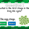 Frog Life Cycle Mini Powerpoint Game - Image 3