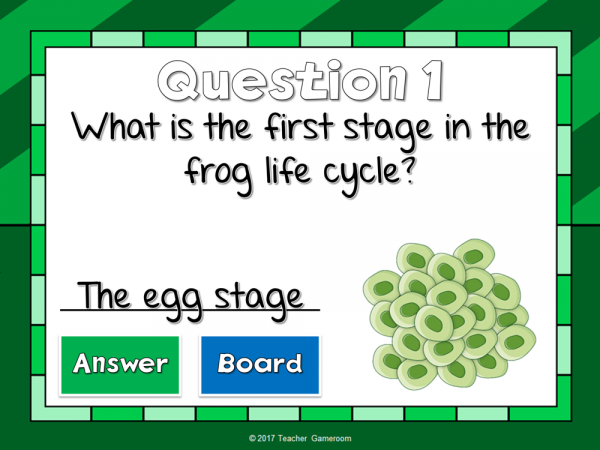 Frog Life Cycle Mini Powerpoint Game - Image 3