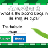 Frog Life Cycle Mini Powerpoint Game - Image 4